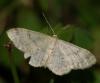 51047 – Photo : Edith Konik – France (95)