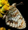 51051 – Photo : Pelouard – France (74)