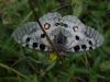 51780 – Photo : Bernadette Cassel – France (38)
