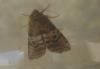 51380 – Photo : Axel Dehalleux – France (89)