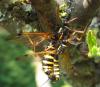 51812 – Photo : Axel Dehalleux – France (89)