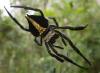 52964 – Photo : TheoG – Madagascar