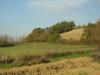 52550 – Photo : Calmont B. – France (32)