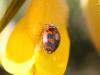 52728 – Photo : Mael Garrin – France (22)