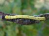 52043 – Photo : Brigitte SEYS – France (71)