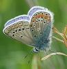 52923 – Photo : mh38 – France (38)