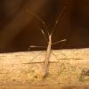 52764 – Photo : Vincent Derreumaux – France (84)