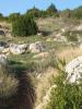 53732 – Photo : DG – France (07)