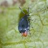 53134 – Photo : YGLO-75 – France (75)