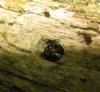 53710 – Photo : Nicolas Cliquennois – Madagascar