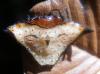 53324 – Photo : TheoG – Madagascar