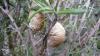 53320 – Photo : PAPOU – France (13)