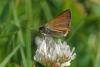 54168 – Photo : Christine Deconinck – France (19)