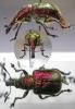 54078 – Photo : Arthropa - Benoit Martha – France (21)