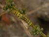 54383 – Photo : Bruno Oger – France (20)