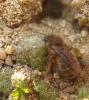 54541 – Photo : Phil – France (40)