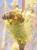 54798 – Photo : Phil – France (40)