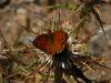 54372 – Photo : Bruno Oger – France (20)