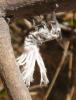 54129 – Photo : TheoG – Madagascar