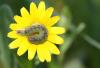 54644 – Photo : patrick derennes – Espagne