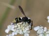 54367 – Photo : Mael Garrin – France (56)