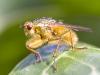 55746 – Photo : Pierre Duhem – France (75)