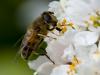 55747 – Photo : Pierre Duhem – France (75)