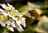 55749 – Photo : Pierre Duhem – France (75)