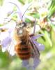 55281 – Photo : Phil – France (40)