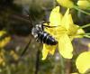 55926 – Photo : gauthier – France (38)