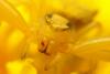 56467 – Photo : G. Beillas – France (13)