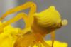 56465 – Photo : G. Beillas – France (13)