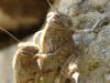 56028 – Photo : Yves Gaubert – France (11)