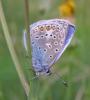 56692 – Photo : H. Dumas – France (13)