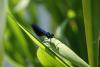56325 – Photo : Olivier Lacaton – France (51)