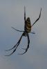 56020 – Photo : ckopera – Madagascar