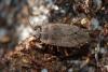 56315 – Photo : Sebastien Damoiseau – France (18)