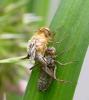 56996 – Photo : brigitte ghilain – Belgique