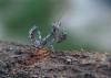 56968 – Photo : Eric Barbier – France (13)
