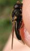56236 – Photo : Axel Dehalleux – France (89)