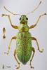 56931 – Photo : Compte Jean-Christophe – France (89)