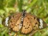 57046 – Photo : TheoG – Madagascar