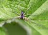 57026 – Photo : Denis Keith – France (28)