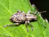 57981 – Photo : Vincent Derreumaux – France (20)