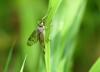 57027 – Photo : Denis Keith – France (28)
