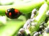 57571 – Photo : Phil – France (40)