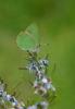 57123 – Photo : David Demerges – France (11)