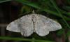 57036 – Photo : Samuel DUCEPT – France (86)