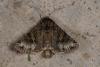 57477 – Photo : Paul Cabrol – France (09)