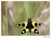 57585 – Photo : Zaralis christophe – Grèce